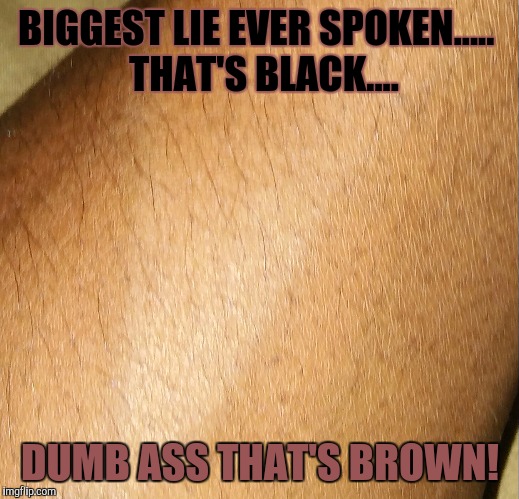 What Brown | BIGGEST LIE EVER SPOKEN.....
 THAT'S BLACK.... DUMB ASS THAT'S BROWN! | image tagged in memes,black,brown,liers,funny memes | made w/ Imgflip meme maker
