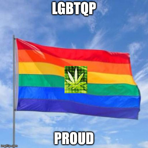 LGBTQP Pride | LGBTQP; PROUD | image tagged in lgbtq,pothead,pot,weed,lgbt,pride | made w/ Imgflip meme maker