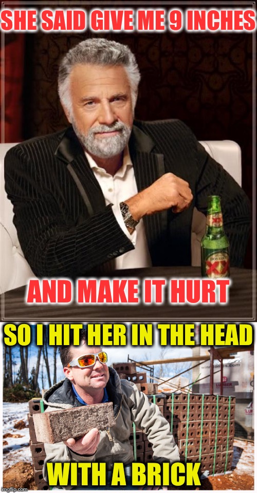 SHE SAID GIVE ME 9 INCHES; AND MAKE IT HURT; SO I HIT HER IN THE HEAD; WITH A BRICK | image tagged in memes,the most interesting man in the world,funny,brick mason | made w/ Imgflip meme maker