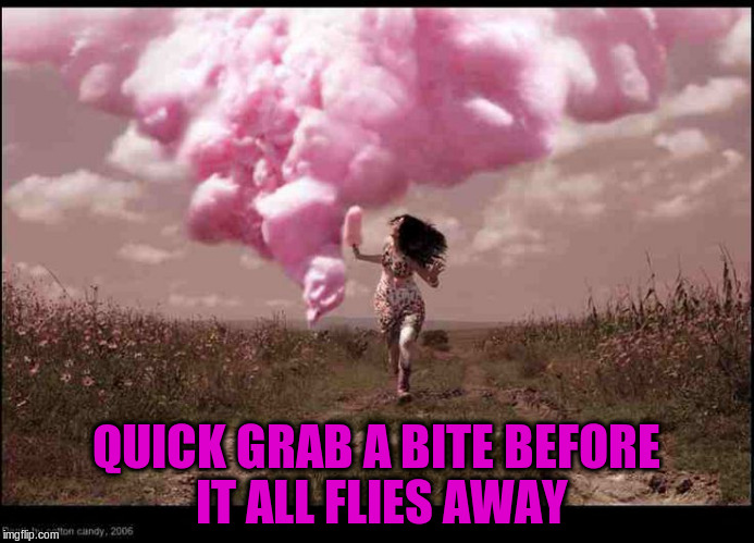 QUICK GRAB A BITE BEFORE IT ALL FLIES AWAY | made w/ Imgflip meme maker