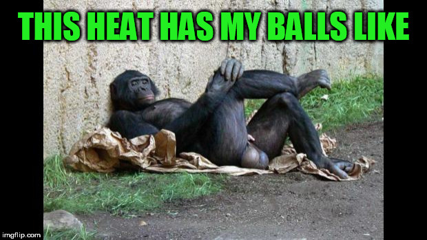 Huevos | THIS HEAT HAS MY BALLS LIKE | image tagged in big balls gorilla,heat,summer,hot,balls,testicles | made w/ Imgflip meme maker