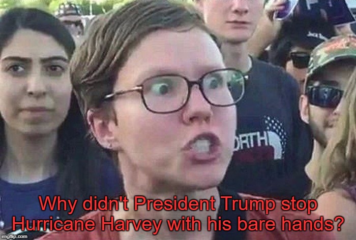 Triggered Liberal  | Why didn't President Trump stop Hurricane Harvey with his bare hands? | image tagged in triggered liberal,hurricane harvey,donald trump,memes | made w/ Imgflip meme maker