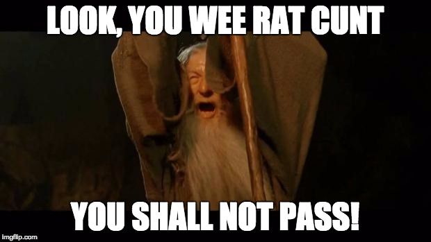 You Shall Not Pass - Gandalf | LOOK, YOU WEE RAT CUNT; YOU SHALL NOT PASS! | image tagged in you shall not pass - gandalf | made w/ Imgflip meme maker