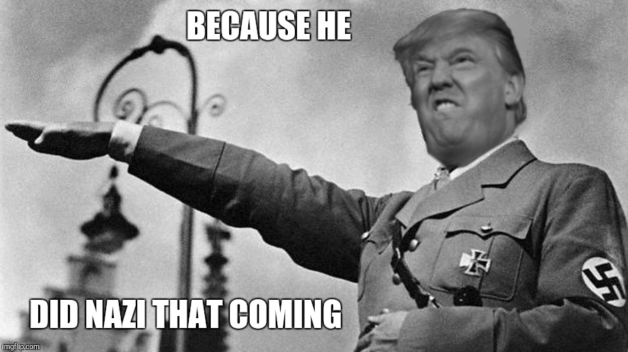 Donald Trump Hitler | BECAUSE HE DID NAZI THAT COMING | image tagged in donald trump hitler | made w/ Imgflip meme maker