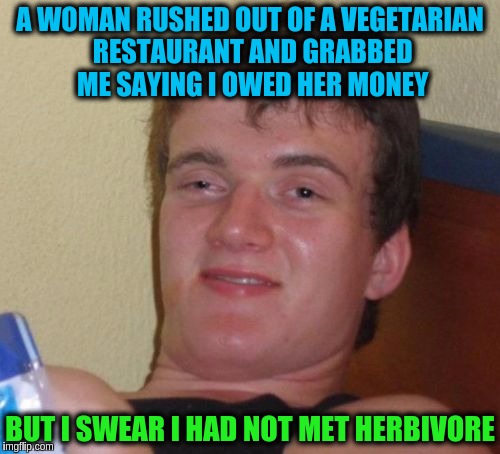 10 Guy | A WOMAN RUSHED OUT OF A VEGETARIAN RESTAURANT AND GRABBED ME SAYING I OWED HER MONEY; BUT I SWEAR I HAD NOT MET HERBIVORE | image tagged in memes,10 guy,funny,puns,vegetarian | made w/ Imgflip meme maker