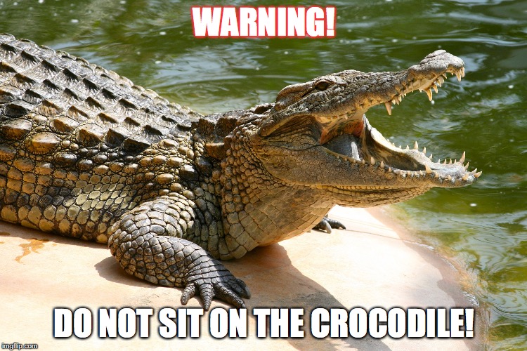 crocodile | WARNING! DO NOT SIT ON THE CROCODILE! | image tagged in crocodile | made w/ Imgflip meme maker