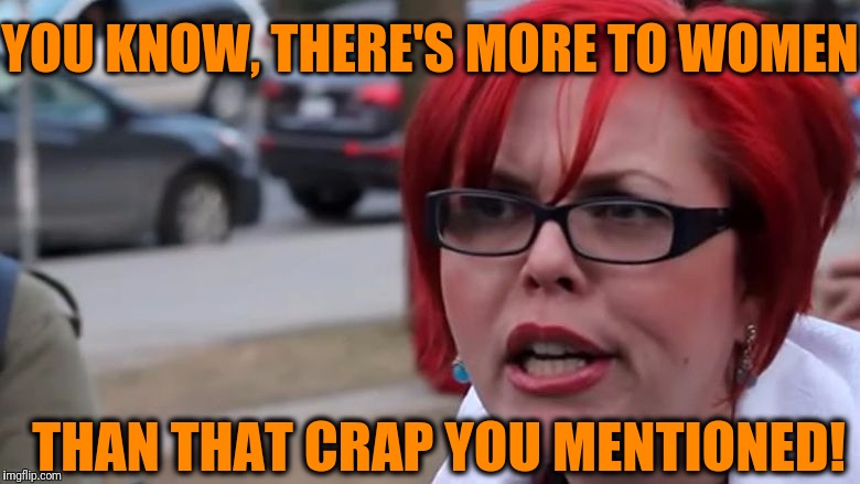  triggered | YOU KNOW, THERE'S MORE TO WOMEN THAN THAT CRAP YOU MENTIONED! | image tagged in triggered | made w/ Imgflip meme maker