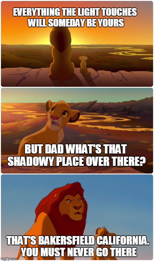 Lion King Meme |  EVERYTHING THE LIGHT TOUCHES WILL SOMEDAY BE YOURS; BUT DAD WHAT'S THAT SHADOWY PLACE OVER THERE? THAT'S BAKERSFIELD CALIFORNIA. YOU MUST NEVER GO THERE | image tagged in lion king meme | made w/ Imgflip meme maker