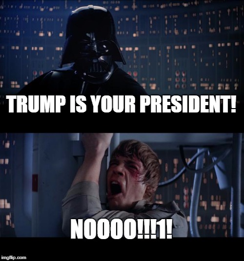 I may not be a fan of him but it's this constitution thing, you know... | TRUMP IS YOUR PRESIDENT! NOOOO!!!1! | image tagged in memes,star wars no | made w/ Imgflip meme maker