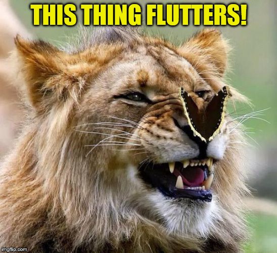 THIS THING FLUTTERS! | made w/ Imgflip meme maker