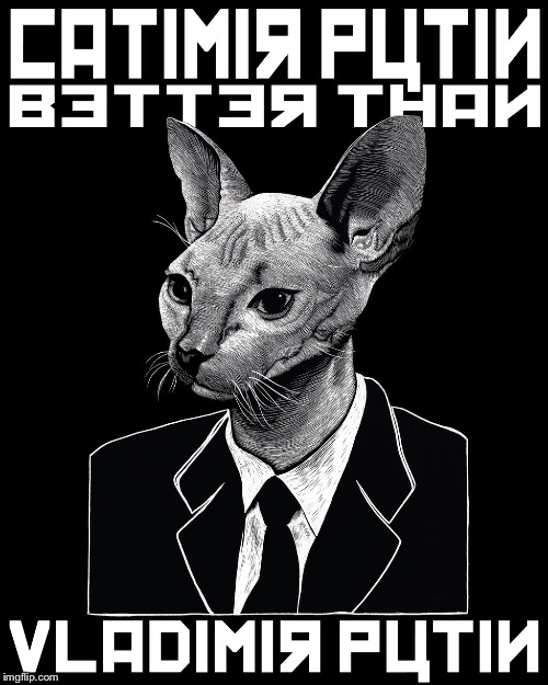 Soviet Meowsia | image tagged in vladimir putin,putin,cat,soviet russia,soviet union | made w/ Imgflip meme maker
