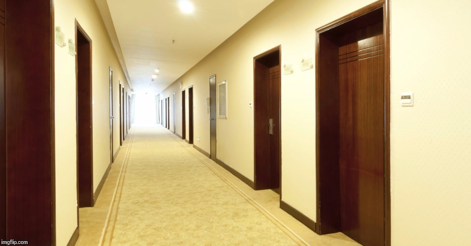 Brown door hallway | image tagged in brown door hallway | made w/ Imgflip meme maker