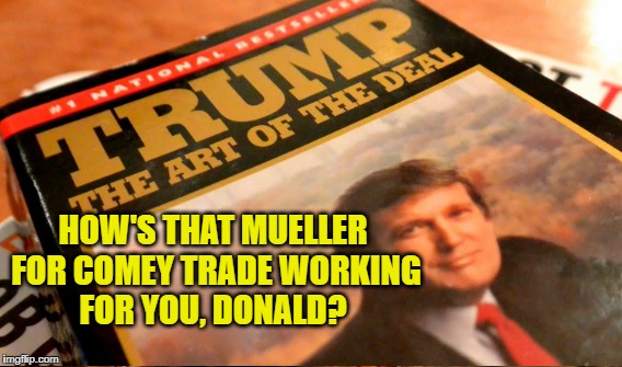 Dumbest Deal | HOW'S THAT MUELLER FOR COMEY TRADE WORKING FOR YOU, DONALD? | image tagged in dumb deal | made w/ Imgflip meme maker