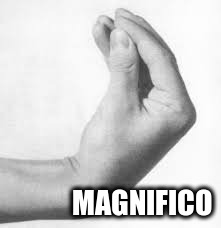 MAGNIFICO | made w/ Imgflip meme maker