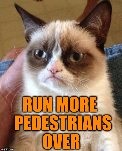 Grumpy Cat Meme | RUN MORE  PEDESTRIANS OVER | image tagged in memes,grumpy cat | made w/ Imgflip meme maker
