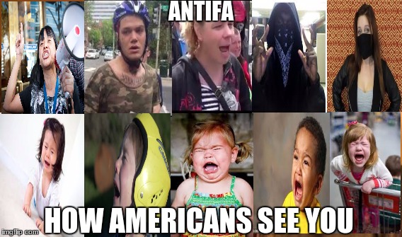 idiots | ANTIFA; HOW AMERICANS SEE YOU | image tagged in antifa,make america great again,terrorists,stupid liberals | made w/ Imgflip meme maker