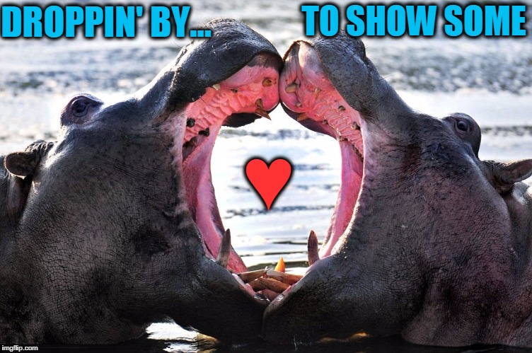 Hippo's in Love | TO SHOW SOME; DROPPIN' BY... ♥ | image tagged in vince vance,hippopotamus,hippo,i want a hippopotamus,dropping by to show some love,love | made w/ Imgflip meme maker