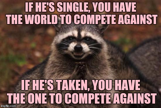 Scheming Racoon | IF HE'S SINGLE, YOU HAVE THE WORLD TO COMPETE AGAINST; IF HE'S TAKEN, YOU HAVE THE ONE TO COMPETE AGAINST | image tagged in scheming racoon | made w/ Imgflip meme maker