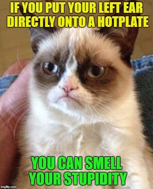 This works ... really! | IF YOU PUT YOUR LEFT EAR DIRECTLY ONTO A HOTPLATE; YOU CAN SMELL YOUR STUPIDITY | image tagged in memes,grumpy cat,funny,hotplate | made w/ Imgflip meme maker