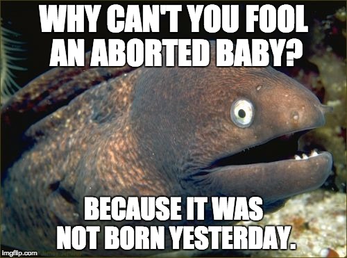 Bad Joke Eel Meme | WHY CAN'T YOU FOOL AN ABORTED BABY? BECAUSE IT WAS NOT BORN YESTERDAY. | image tagged in memes,bad joke eel | made w/ Imgflip meme maker