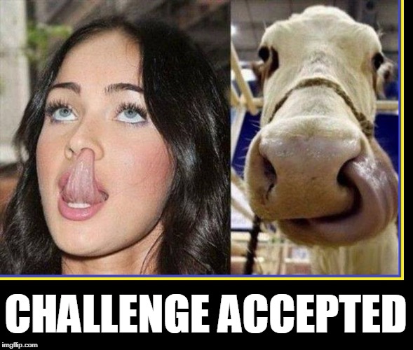 Anything You Can Do... | CHALLENGE ACCEPTED | image tagged in vince vance,cow,cow with tongue in nose,girl with tongue in nose,challenge accepted,booger eating | made w/ Imgflip meme maker