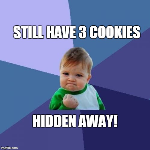 Success Kid Meme | STILL HAVE 3 COOKIES HIDDEN AWAY! | image tagged in memes,success kid | made w/ Imgflip meme maker