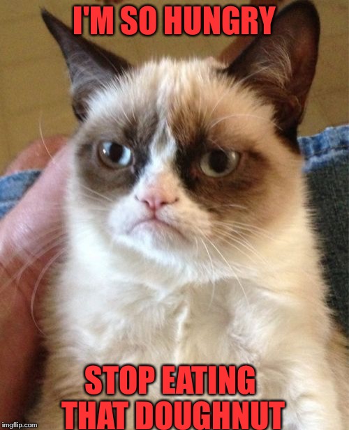 Grumpy Cat Meme | I'M SO HUNGRY; STOP EATING THAT DOUGHNUT | image tagged in memes,grumpy cat | made w/ Imgflip meme maker
