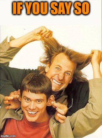 DUMB and dumber | IF YOU SAY SO | image tagged in dumb and dumber | made w/ Imgflip meme maker