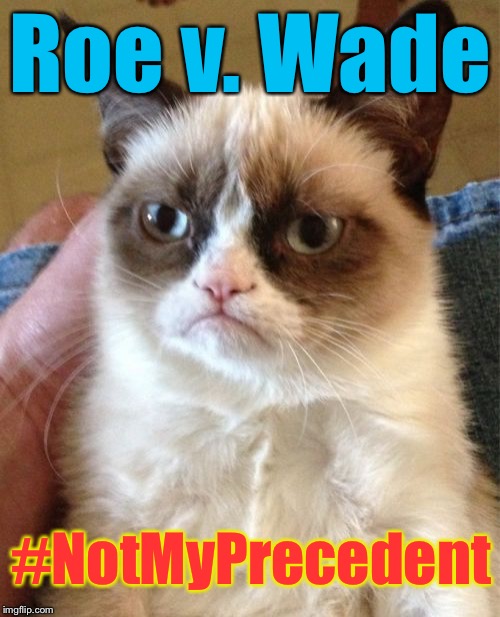 Pro-Lifers Be Like... | Roe v. Wade; #NotMyPrecedent | image tagged in memes,grumpy cat | made w/ Imgflip meme maker