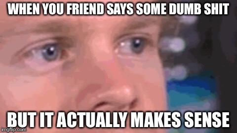 WHEN YOU FRIEND SAYS SOME DUMB SHIT; BUT IT ACTUALLY MAKES SENSE | image tagged in dumb people | made w/ Imgflip meme maker