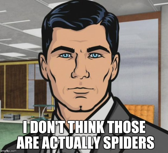 Archer Meme | I DON'T THINK THOSE ARE ACTUALLY SPIDERS | image tagged in memes,archer | made w/ Imgflip meme maker
