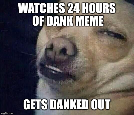 Too Dank |  WATCHES 24 HOURS OF DANK MEME; GETS DANKED OUT | image tagged in too dank | made w/ Imgflip meme maker