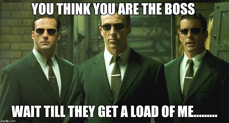 Matrix Agents | YOU THINK YOU ARE THE BOSS; WAIT TILL THEY GET A LOAD OF ME......... | image tagged in matrix agents | made w/ Imgflip meme maker