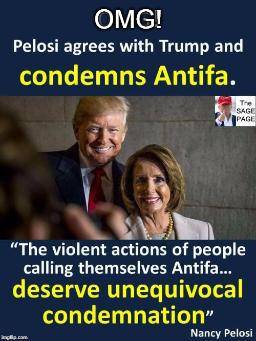 I am Floored, but Appreciative  | OMG! | image tagged in vince vance,nancy pelosi,potus,donald trump,antifa,antifa are the real fascists | made w/ Imgflip meme maker