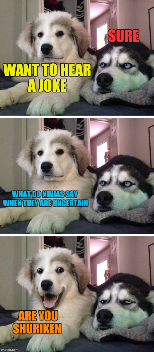 Bad Pun Dogs | SURE; WANT TO HEAR A JOKE; WHAT DO NINJAS SAY WHEN THEY ARE UNCERTAIN; ARE YOU SHURIKEN | image tagged in bad pun dogs,memes,funny,puns,bad puns,ninjas | made w/ Imgflip meme maker