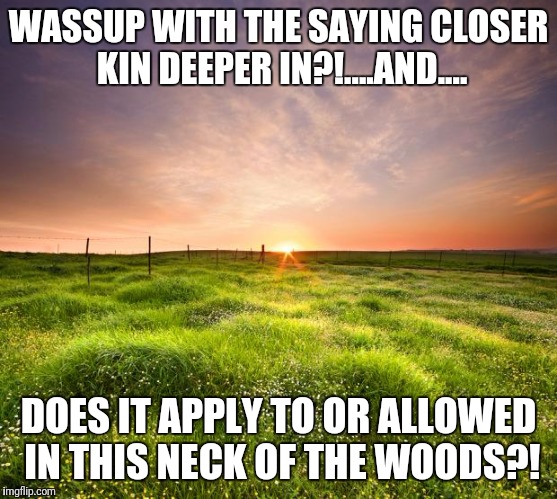 landscapemaymay | WASSUP WITH THE SAYING CLOSER KIN DEEPER IN?!....AND.... DOES IT APPLY TO OR ALLOWED IN THIS NECK OF THE WOODS?! | image tagged in landscapemaymay | made w/ Imgflip meme maker