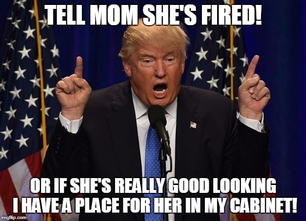 TELL MOM SHE'S FIRED! OR IF SHE'S REALLY GOOD LOOKING I HAVE A PLACE FOR HER IN MY CABINET! | made w/ Imgflip meme maker