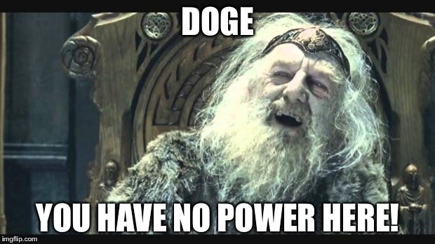 You have no power here | DOGE; YOU HAVE NO POWER HERE! | image tagged in you have no power here | made w/ Imgflip meme maker