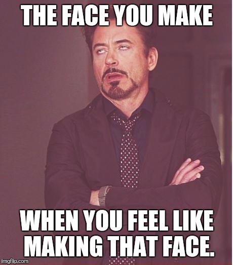 Face You Make Robert Downey Jr | THE FACE YOU MAKE; WHEN YOU FEEL LIKE MAKING THAT FACE. | image tagged in memes,face you make robert downey jr | made w/ Imgflip meme maker