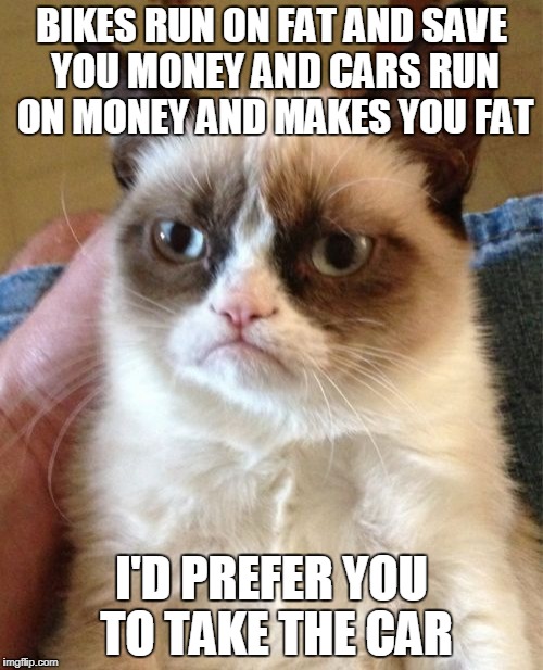 Grumpy Cat Meme | BIKES RUN ON FAT AND SAVE YOU MONEY AND CARS RUN ON MONEY AND MAKES YOU FAT; I'D PREFER YOU TO TAKE THE CAR | image tagged in memes,grumpy cat | made w/ Imgflip meme maker