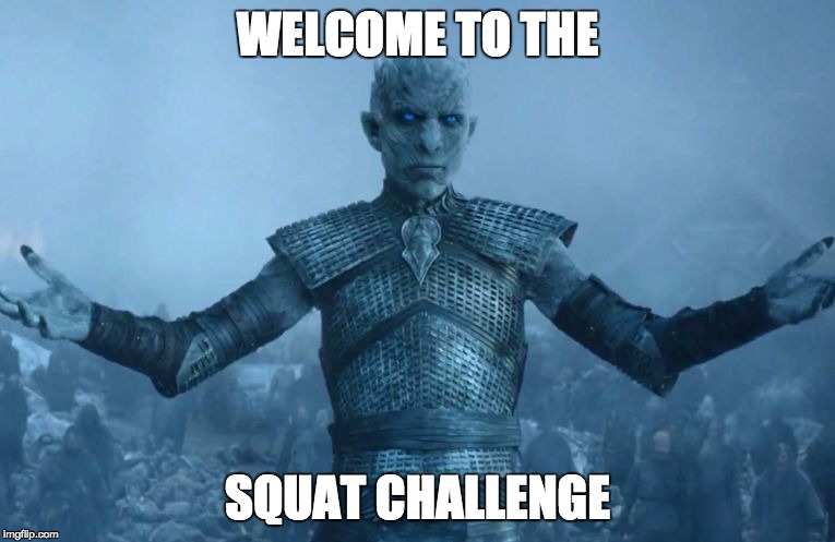 aion game of thrones resurrect | WELCOME TO THE; SQUAT CHALLENGE | image tagged in aion game of thrones resurrect | made w/ Imgflip meme maker