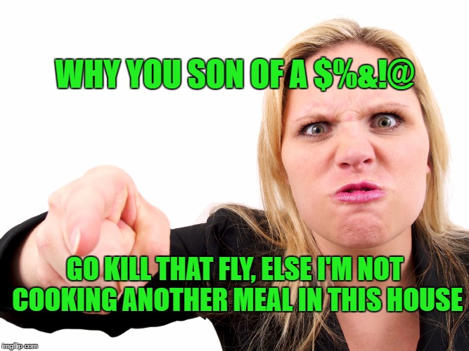 GO KILL THAT FLY, ELSE I'M NOT COOKING ANOTHER MEAL IN THIS HOUSE WHY YOU SON OF A $%&!@ | made w/ Imgflip meme maker