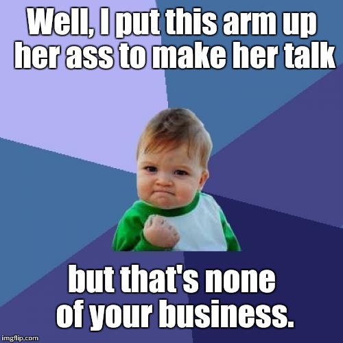 Success Kid Meme | Well, I put this arm up her ass to make her talk but that's none of your business. | image tagged in memes,success kid | made w/ Imgflip meme maker