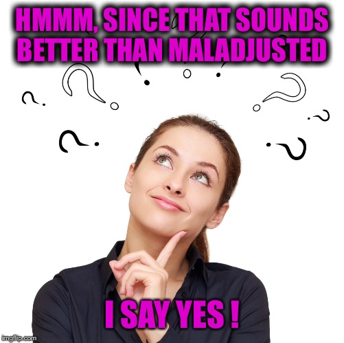 HMMM, SINCE THAT SOUNDS BETTER THAN MALADJUSTED I SAY YES ! | made w/ Imgflip meme maker