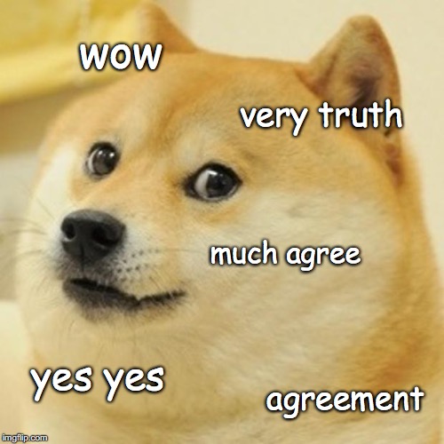 wow very truth much agree yes yes agreement | image tagged in memes,doge | made w/ Imgflip meme maker