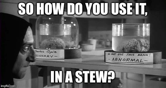 Abby Normal Brain | SO HOW DO YOU USE IT, IN A STEW? | image tagged in abby normal brain | made w/ Imgflip meme maker