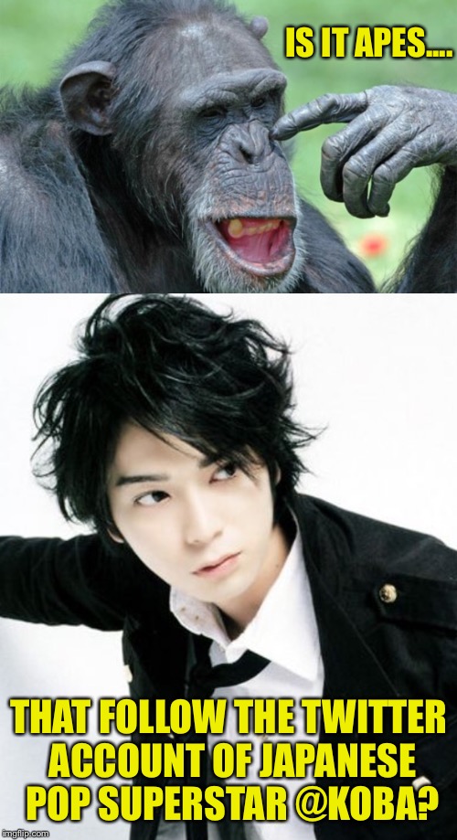 IS IT APES.... THAT FOLLOW THE TWITTER ACCOUNT OF JAPANESE POP SUPERSTAR @KOBA? | made w/ Imgflip meme maker