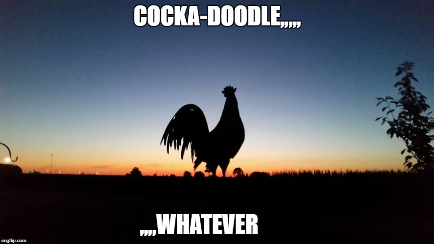 whatever | COCKA-DOODLE,,,,, ,,,,WHATEVER | image tagged in rooster good morning mornings | made w/ Imgflip meme maker