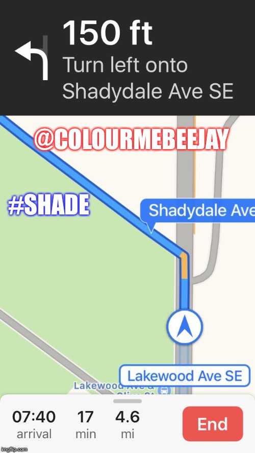 @COLOURMEBEEJAY; #SHADE | image tagged in shade | made w/ Imgflip meme maker