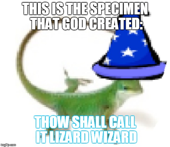 Lizard Wizard | THIS IS THE SPECIMEN THAT GOD CREATED:; THOW SHALL CALL IT LIZARD WIZARD | image tagged in lizard,wizard,memes,god,funny | made w/ Imgflip meme maker